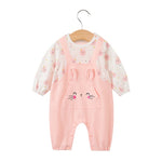 Load image into Gallery viewer, Baby Pink Little Princess Bodysuit
